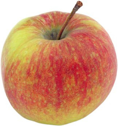 Produktfoto zu Apfel Jonagor