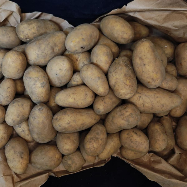 Produktfoto zu 2,5kg Tüte Kartoffeln 2. Wahl