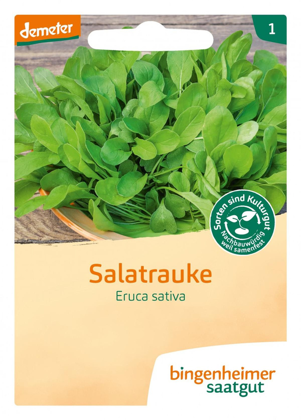 Produktfoto zu Salatrauke Ruca