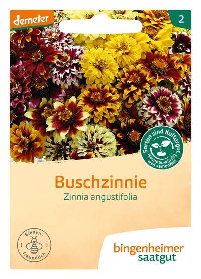 Produktfoto zu Buschzinnie
