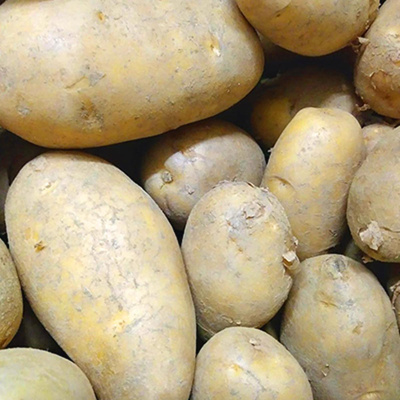 Produktfoto zu Kartoffeln fk eigener Anbau