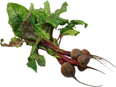 Produktfoto zu Rote Bete Bund Eigen
