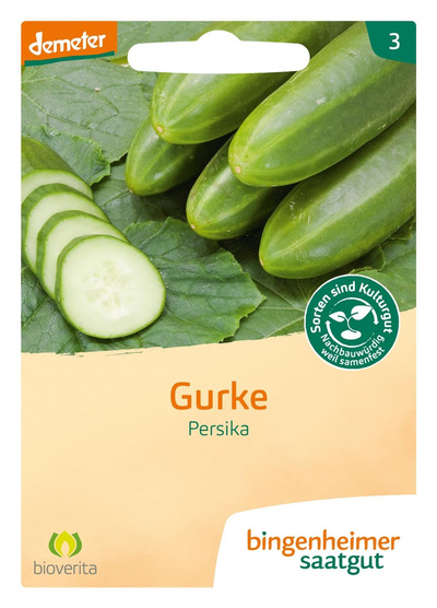 Produktfoto zu Freilandgurke Persika