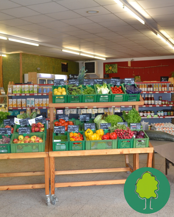 KI generiert: Ein Laden mit frischem Obst und Gemüse in grünen Kisten. Schilder zeigen Produkte und Preise an.