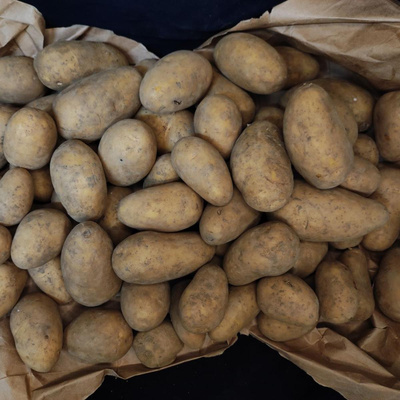 Produktfoto zu 2,5kg Tüte Kartoffeln 2. Wahl