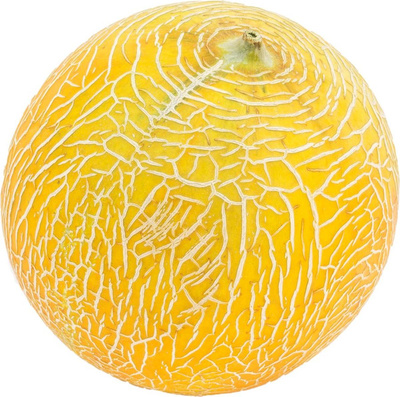Produktfoto zu Melone Cantaloupe