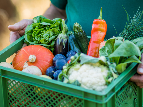 Ökokisten mit Bio-Obst und Gemüse