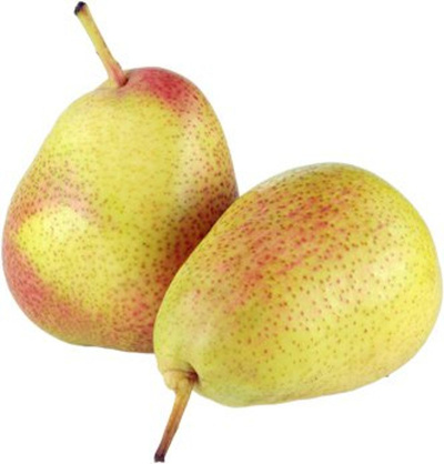 Produktfoto zu Birne Guyot