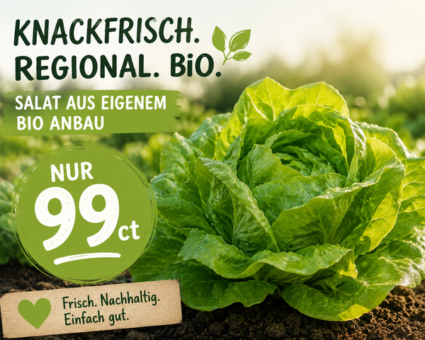 KI generiert: Frischer Bio-Salat im Garten. Text: "KNACKFRISCH. REGIONAL. BIO. NUR 99ct Frisch. Nachhaltig. Einfach gut."