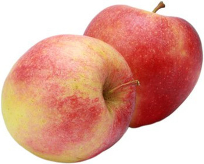 Produktfoto zu Apfel Gala