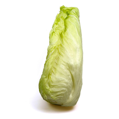 Produktfoto zu Zuckerhut eigener Anbau