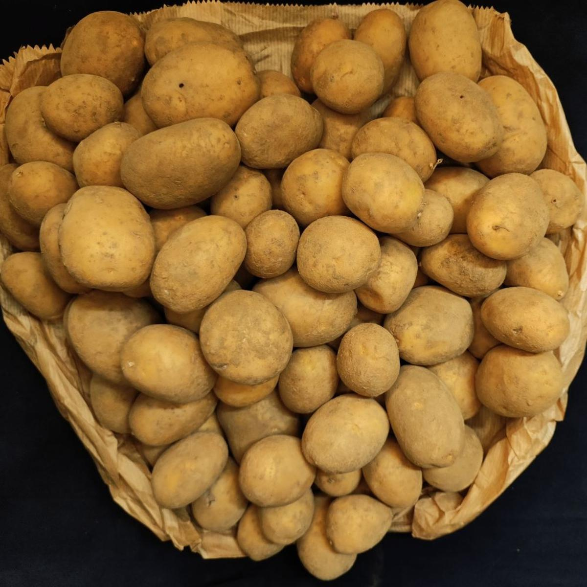 2,5 kg Tüte Butterkartoffeln