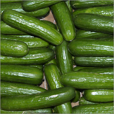 Produktfoto zu Minigurken ca. 200g