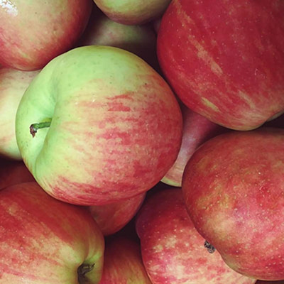 Produktfoto zu Frühapfel Deljonka