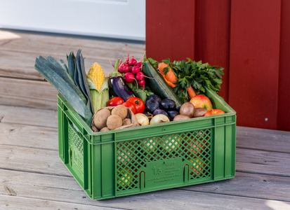 KI generiert: Das Bild zeigt eine grüne Kiste voll mit einer Vielzahl von frischem Gemüse und Obst, die auf einem Holzdeck steht. Zu den sichtbaren Produkten gehören Lauch, Kartoffeln, Mais, Radieschen, Auberginen, Karotten, Tomaten und Äpfel.