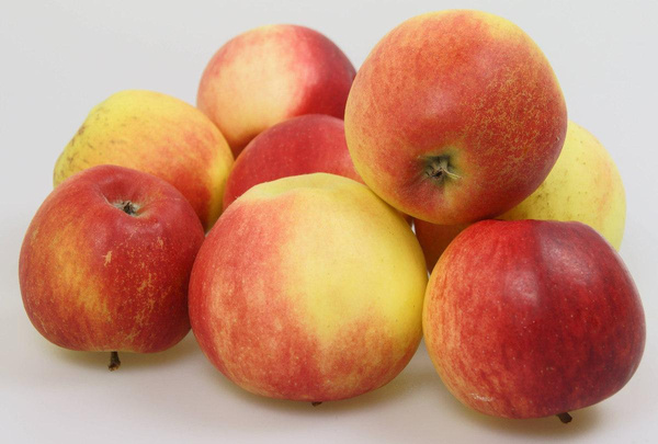 Produktfoto zu Apfel Red Jonaprince DEMETER
