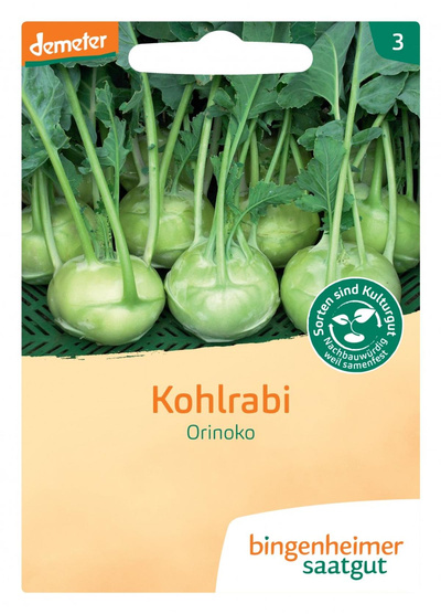 Produktfoto zu Kohlrabi Orinoko, weiß